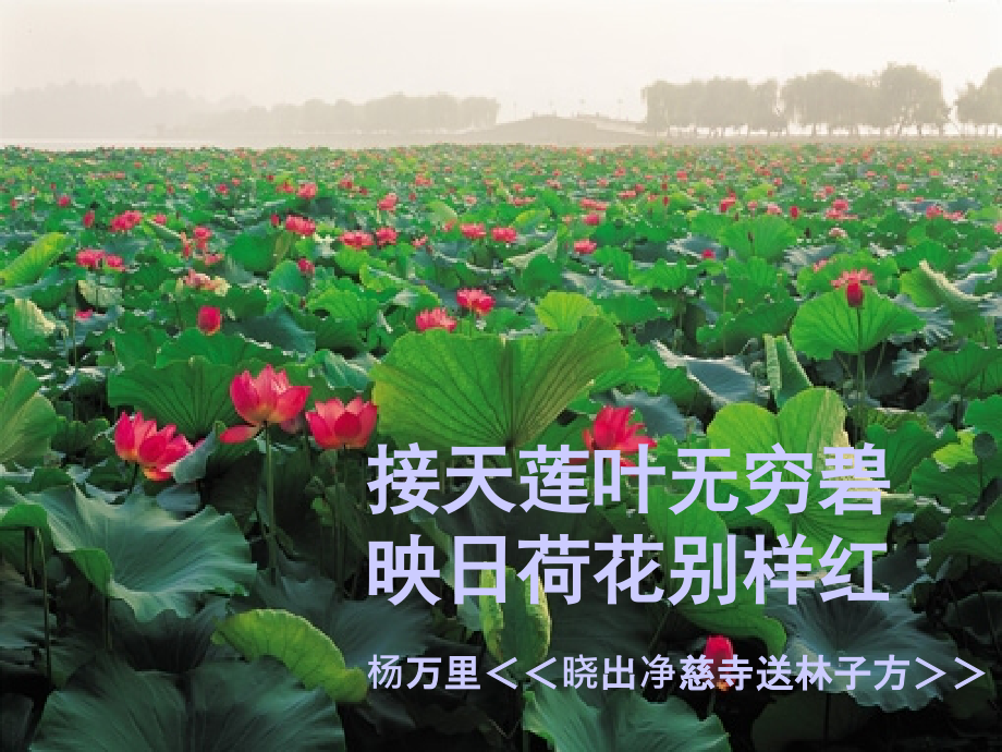 西湖诗句欣赏.ppt_第2页