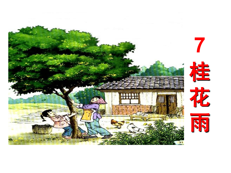 人教版五年级语文上册第二组《07桂花雨》PPT课件.ppt_第1页