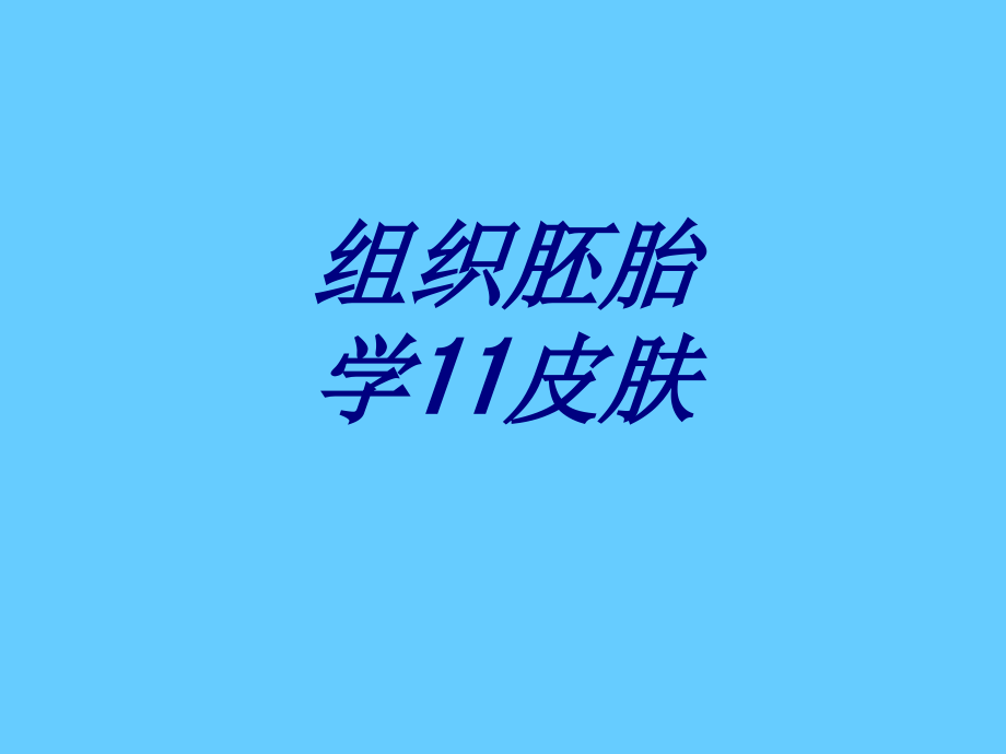 组织胚胎学皮肤专题培训课件.ppt_第1页