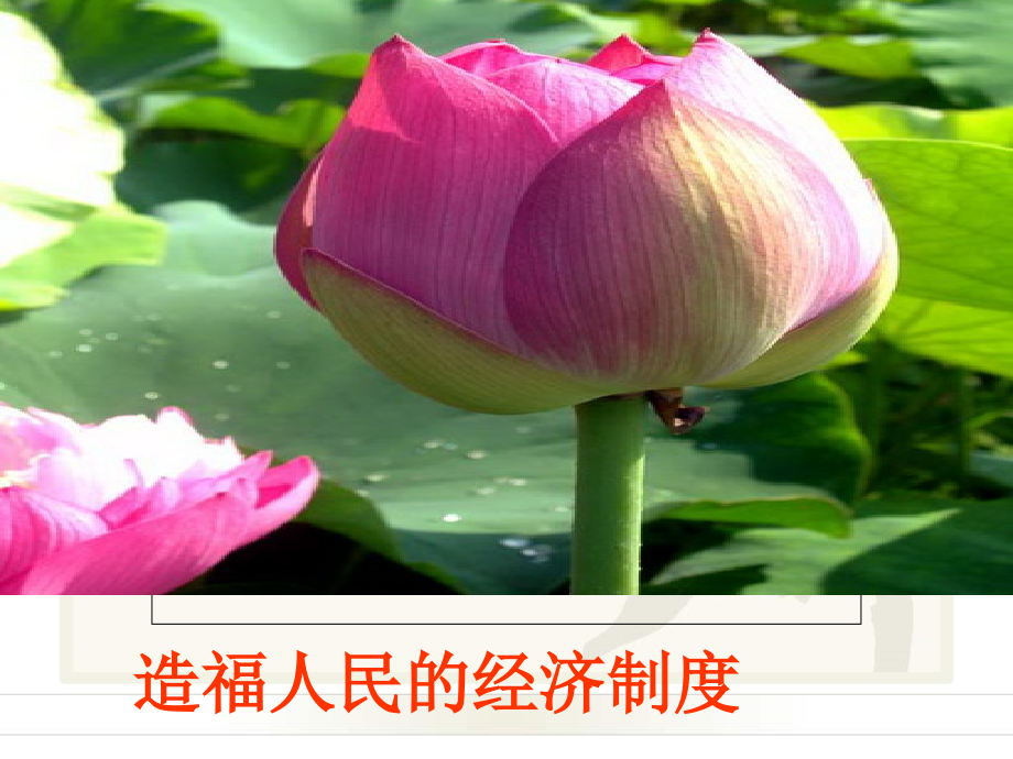 九年级政治全册-第三单元-第七课《关注经济发展》(第1框-造福人民的经济制度)课件-新人教版-3.ppt_第1页