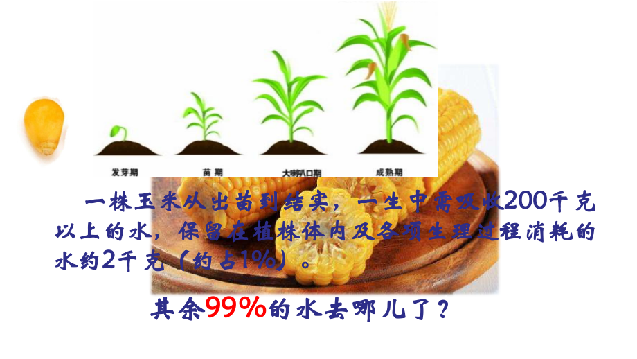第1节绿色植物与生物圈的水循环.ppt_第1页