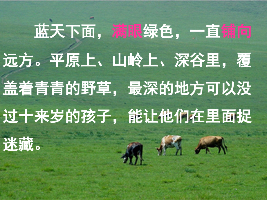 锡林郭勒大草原2.ppt_第2页