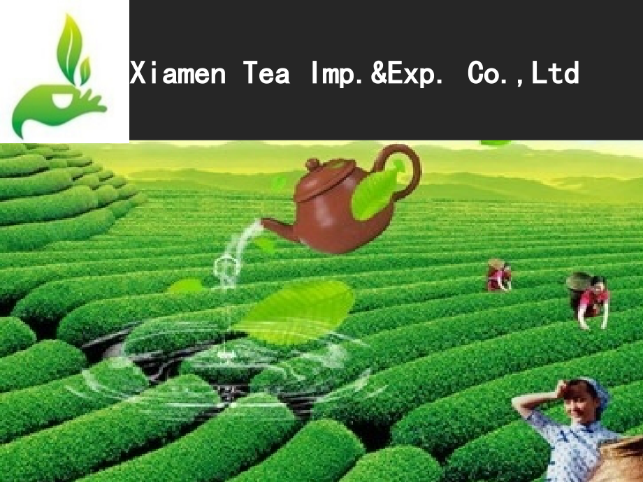 茶Tea---介绍公司,建立业务关系.ppt_第1页