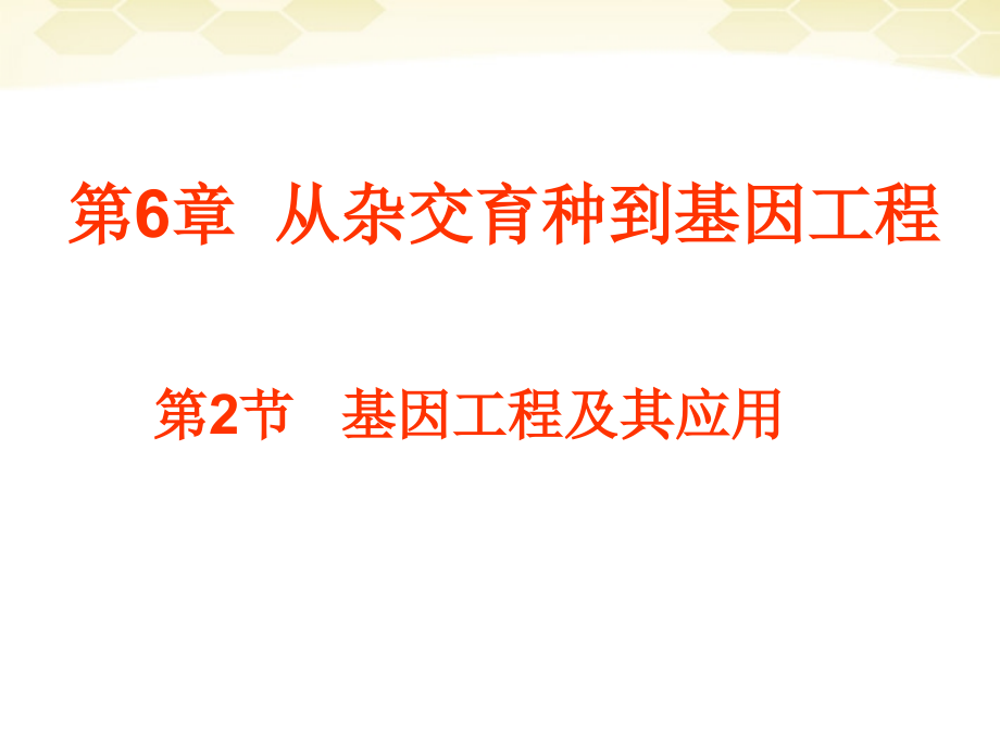 讲课—基因工程及其应用课件 必修2.ppt_第1页