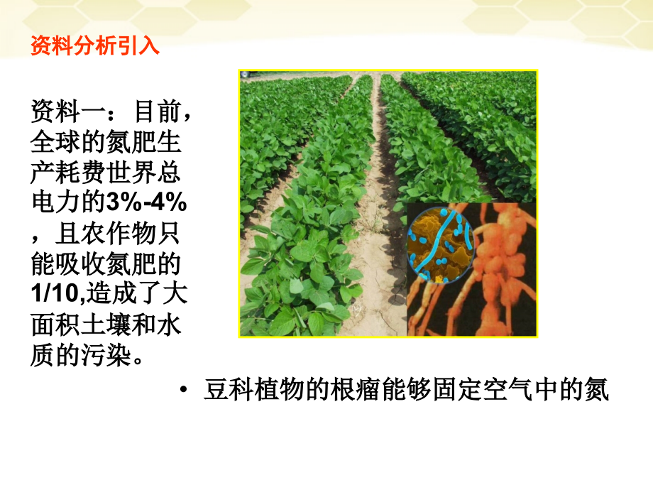 讲课—基因工程及其应用课件 必修2.ppt_第2页