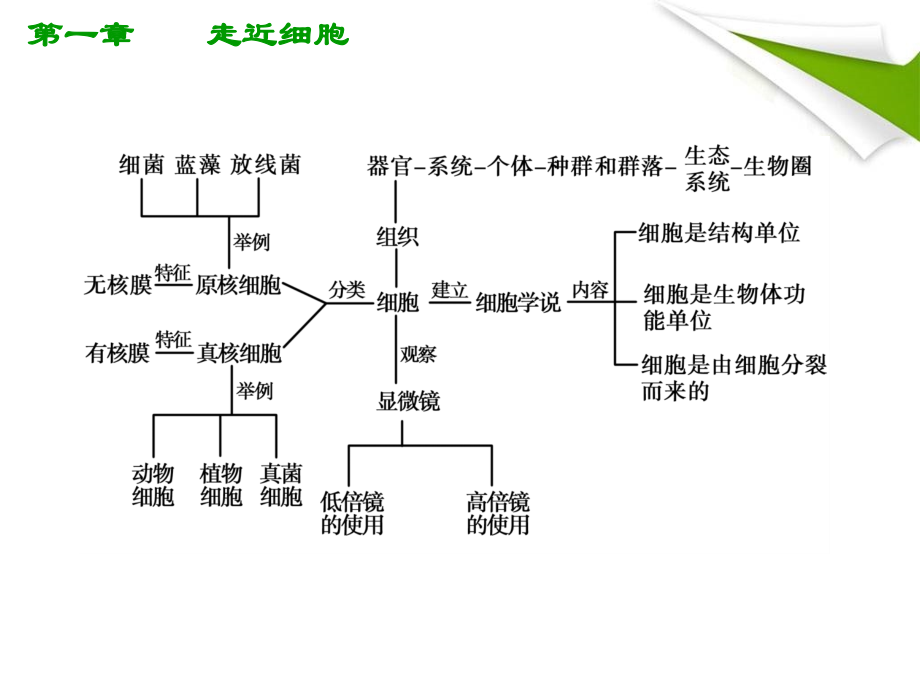 第1章走进细胞课件.ppt_第2页