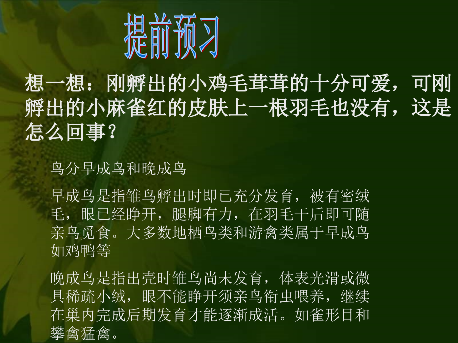 8[1].4鸟的生殖和发育.ppt_第2页