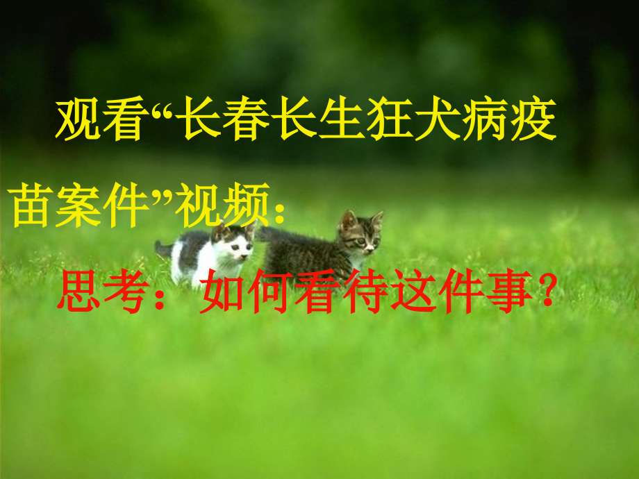 维护秩序-(3).ppt_第1页