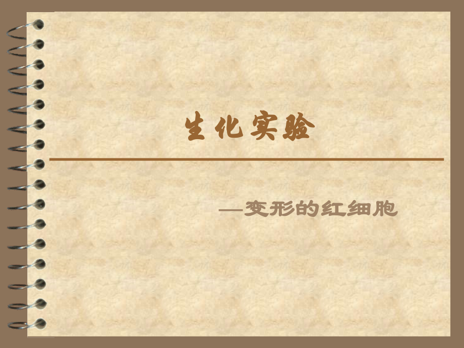 临床六班生化变形的红细胞.ppt_第1页