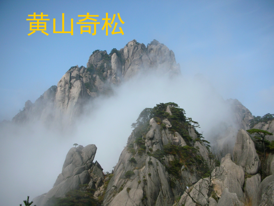 苏教版五年级上册语文16、《黄山奇松》课件.ppt_第1页
