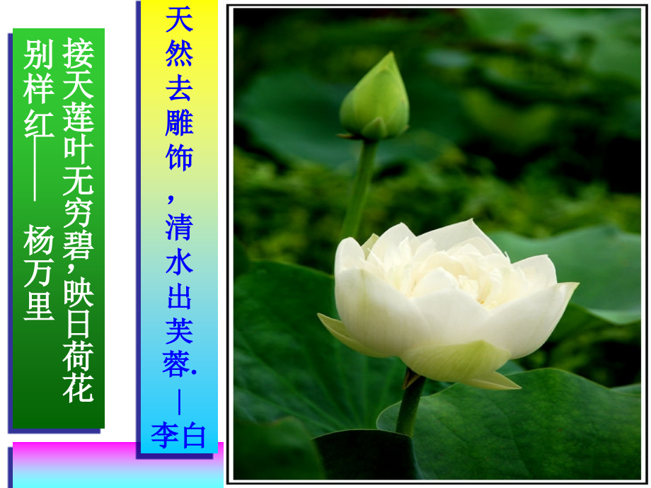 爱莲说.ppt[1].ppt_第2页