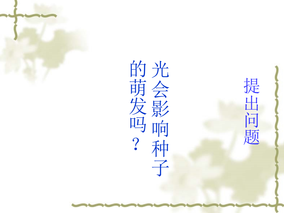 光对种子萌发的影响.ppt_第2页
