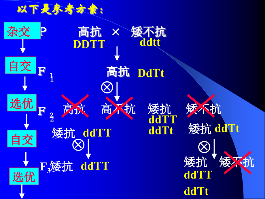 《杂交育种与诱变育种》课件.ppt_第2页