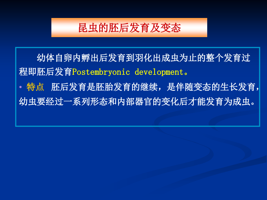 昆虫的胚后发育及变态课件.ppt_第1页