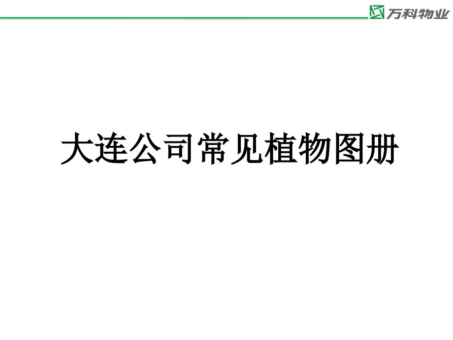 大连公司植物图册.ppt_第1页
