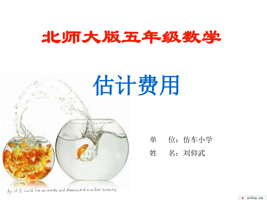 北师大版估计费用.ppt_第1页