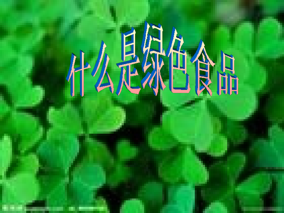 食品安全讲座.ppt_第2页