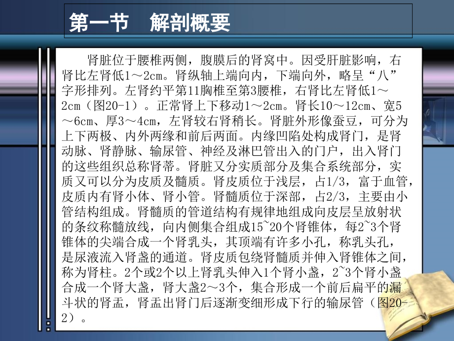 第二十章肾脏疾病.ppt_第2页