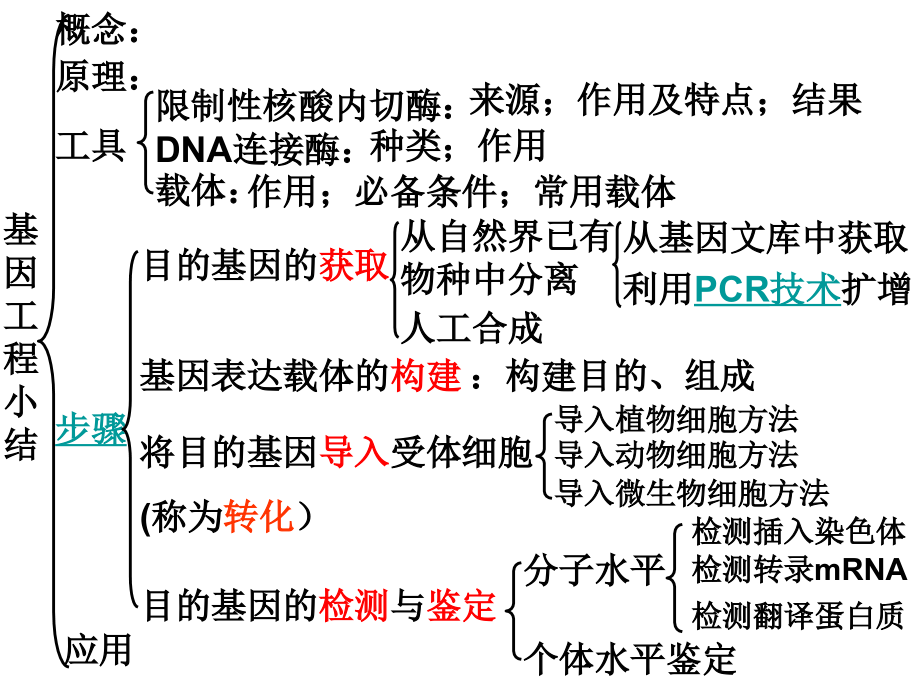 高中生物选修三复习提纲.ppt_第2页