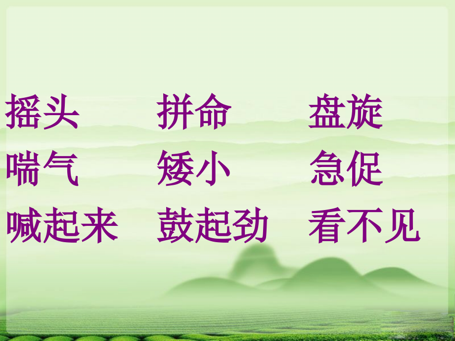 苏教版二年级上册语文小鹰学飞.ppt_第2页