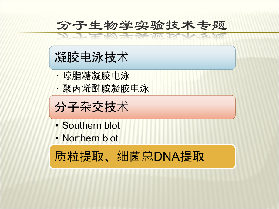 琼脂糖凝胶电泳-初学版.ppt_第2页