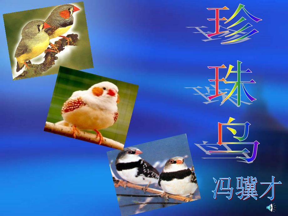 《珍珠鸟》教学ppt.ppt_第1页