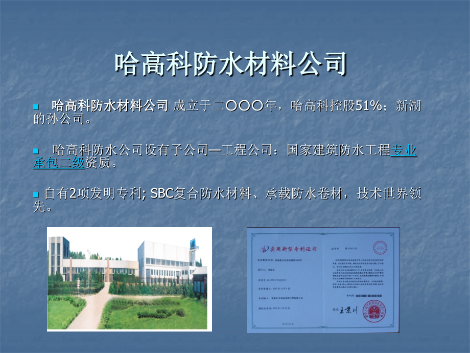 哈高科二塑公司防水材料.ppt_第2页