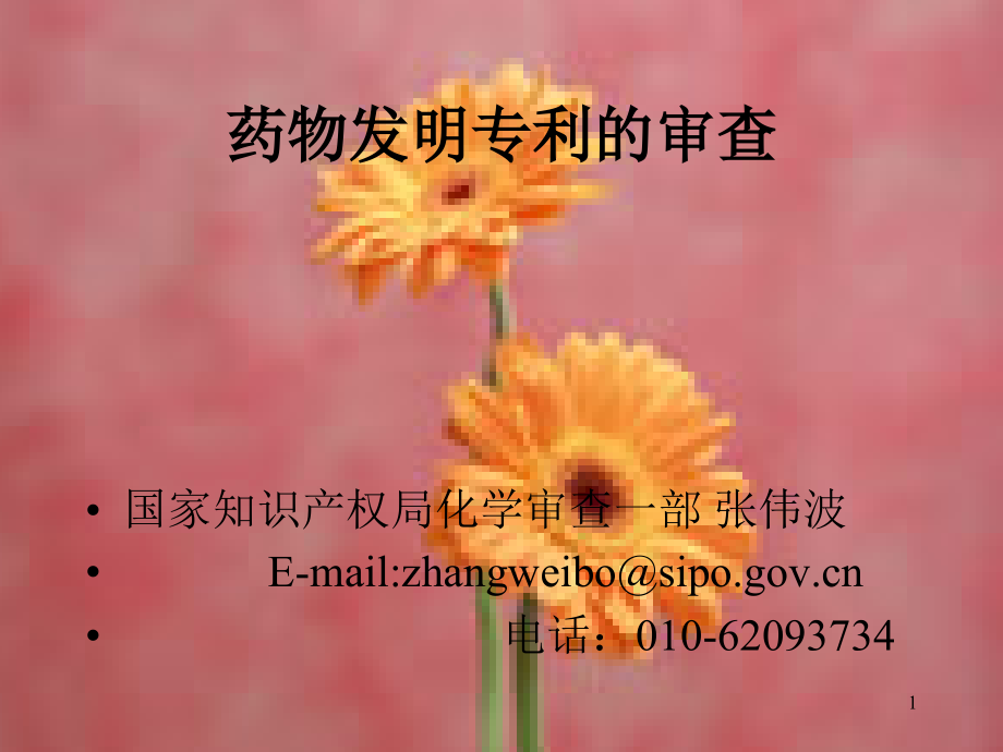 专利讲座1.ppt_第1页