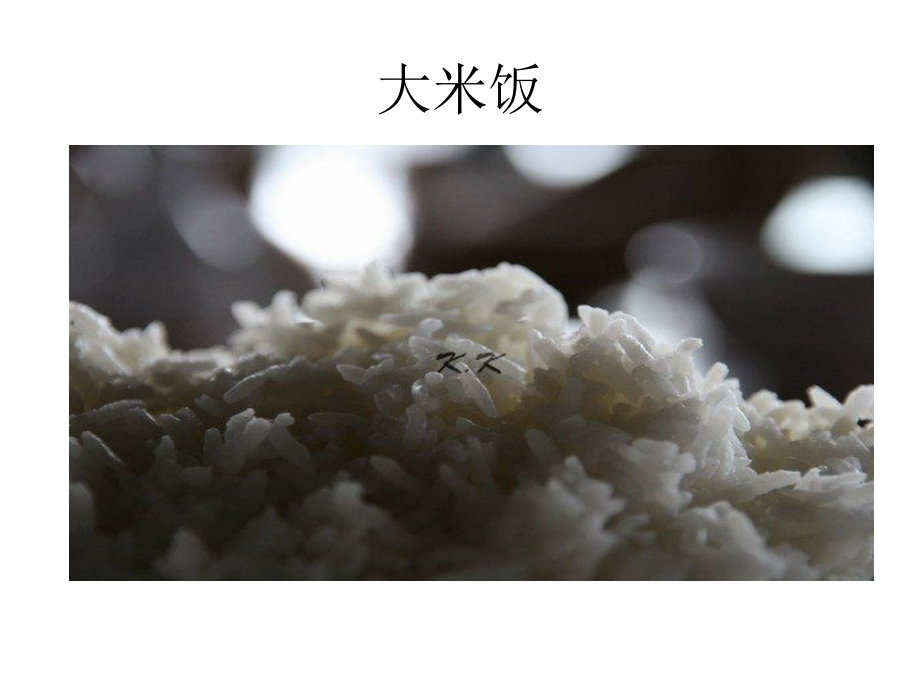 稻作文化的印记课件.ppt_第2页