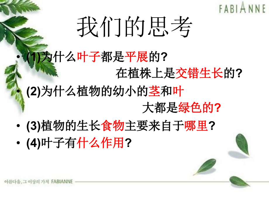 光合作用与茎越长越高.ppt_第1页