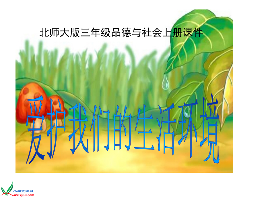 爱护我们生活的环境.ppt_第1页