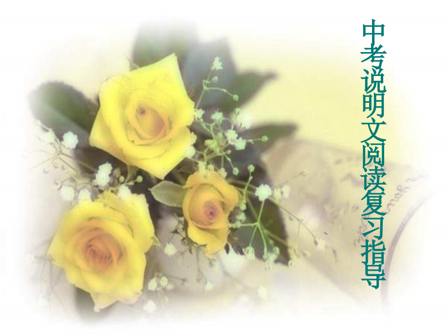 中考说明文复习.ppt_第1页