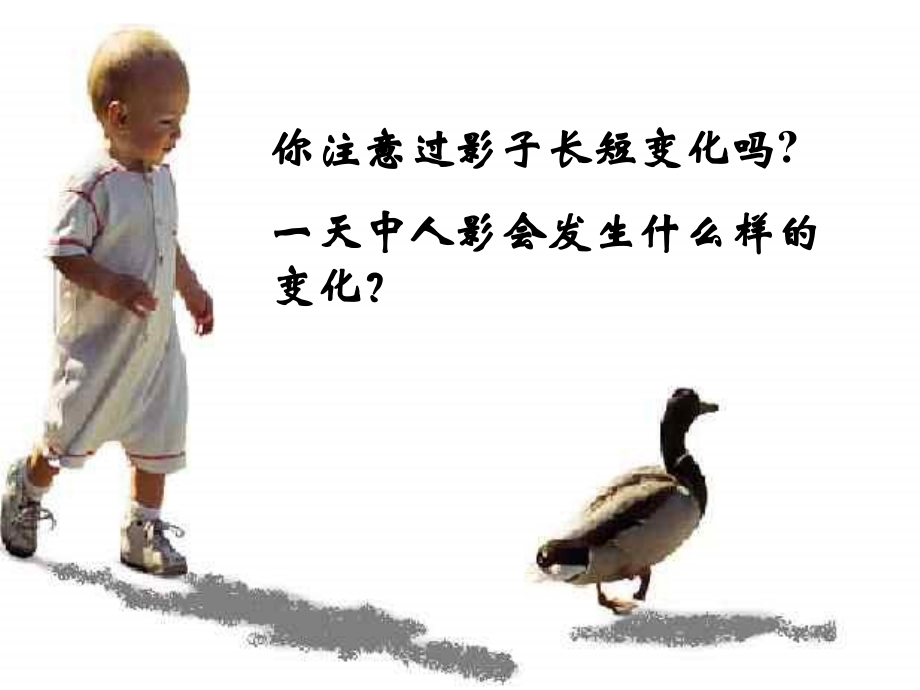 地球的绕日运动.ppt_第2页