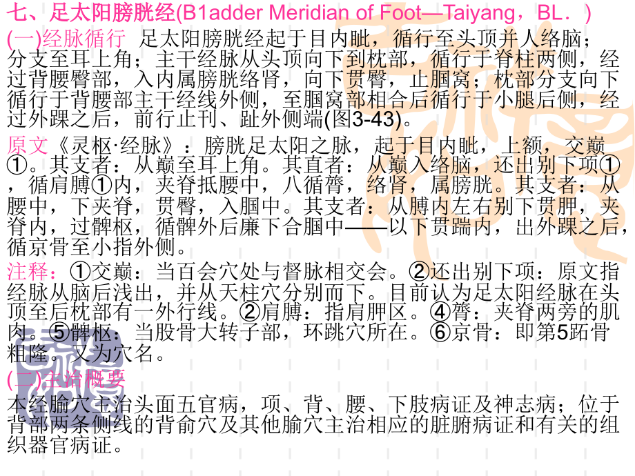 7足太阳膀胱经.ppt_第1页