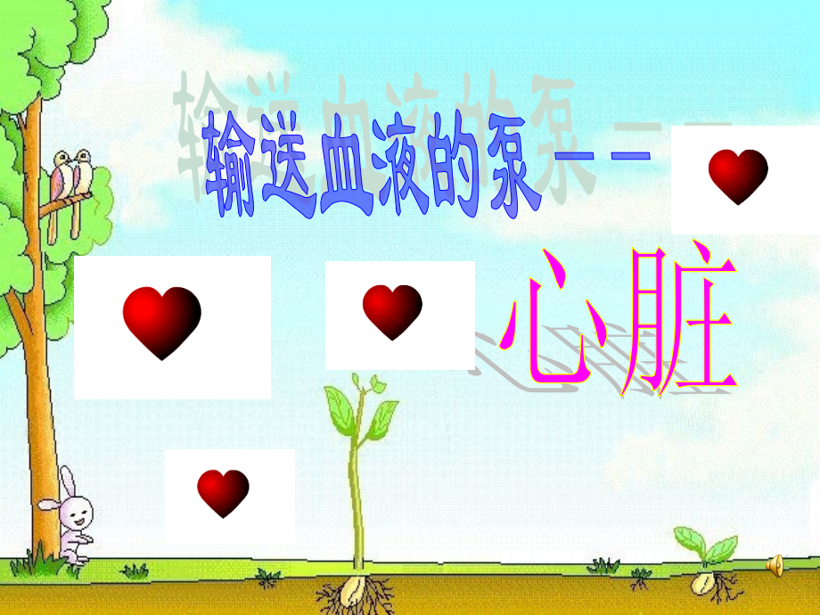 第四章第三节输送血液的泵——心脏课件.ppt_第1页