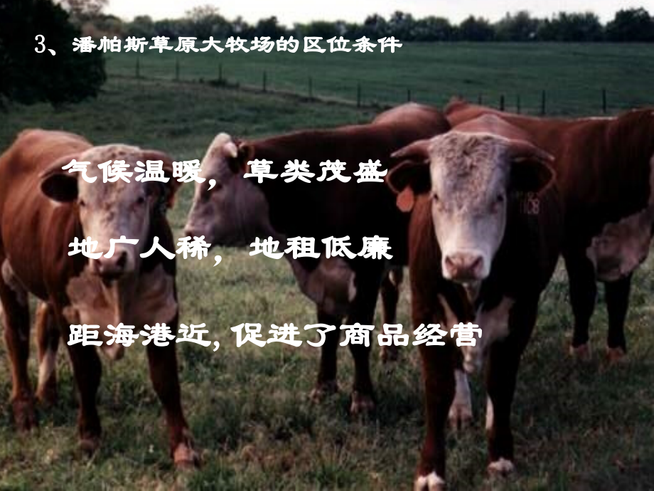 以畜牧业为主的农业地域类型6.ppt_第2页