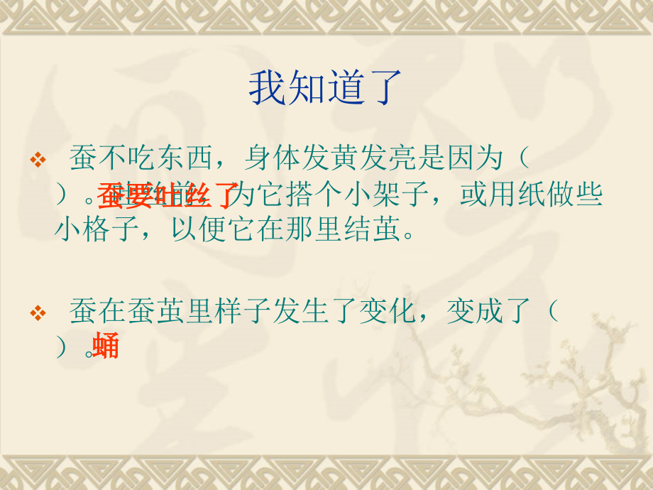 蛹变成了什么.ppt_第1页