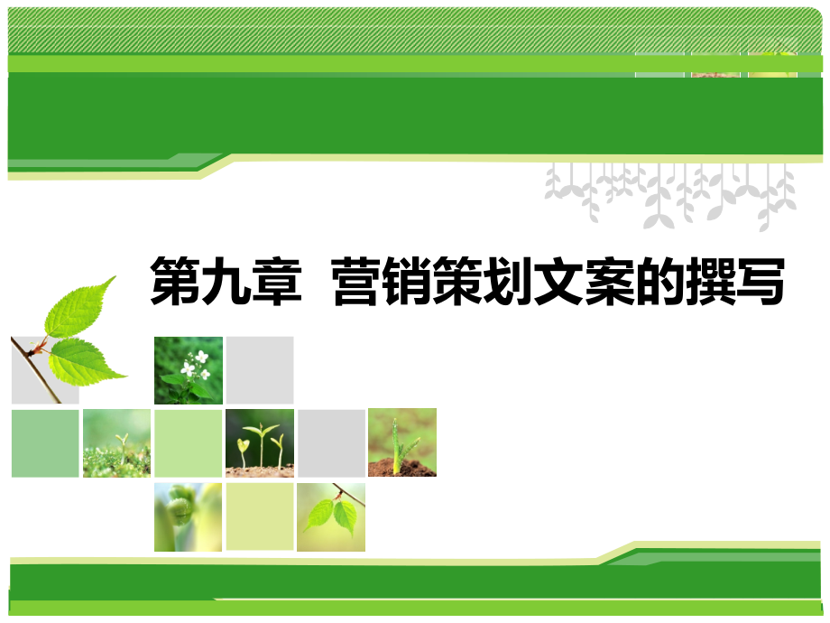第九章 营销策划文案的撰写.ppt_第1页