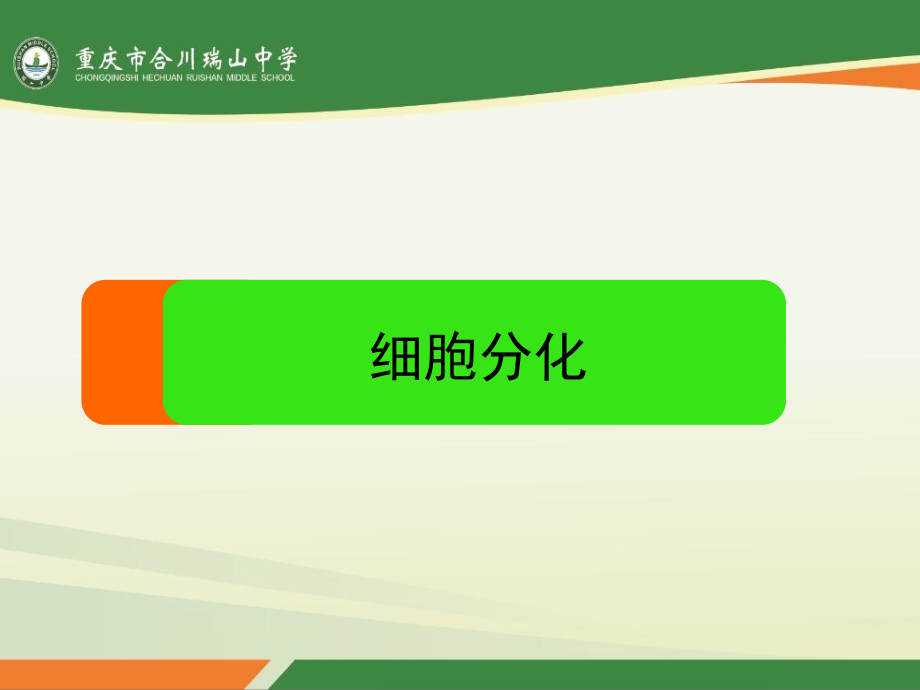 第节细胞的分化.pptx_第1页