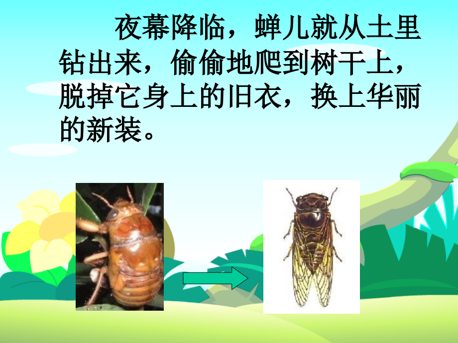 金蝉脱壳1.ppt_第2页