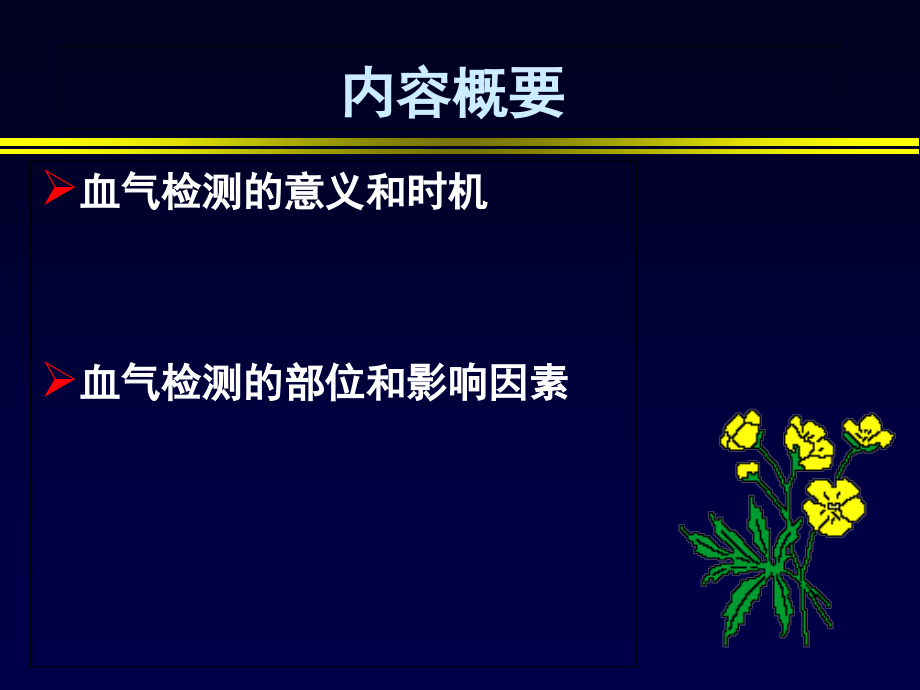 动脉血气分析的临床意义.ppt_第2页