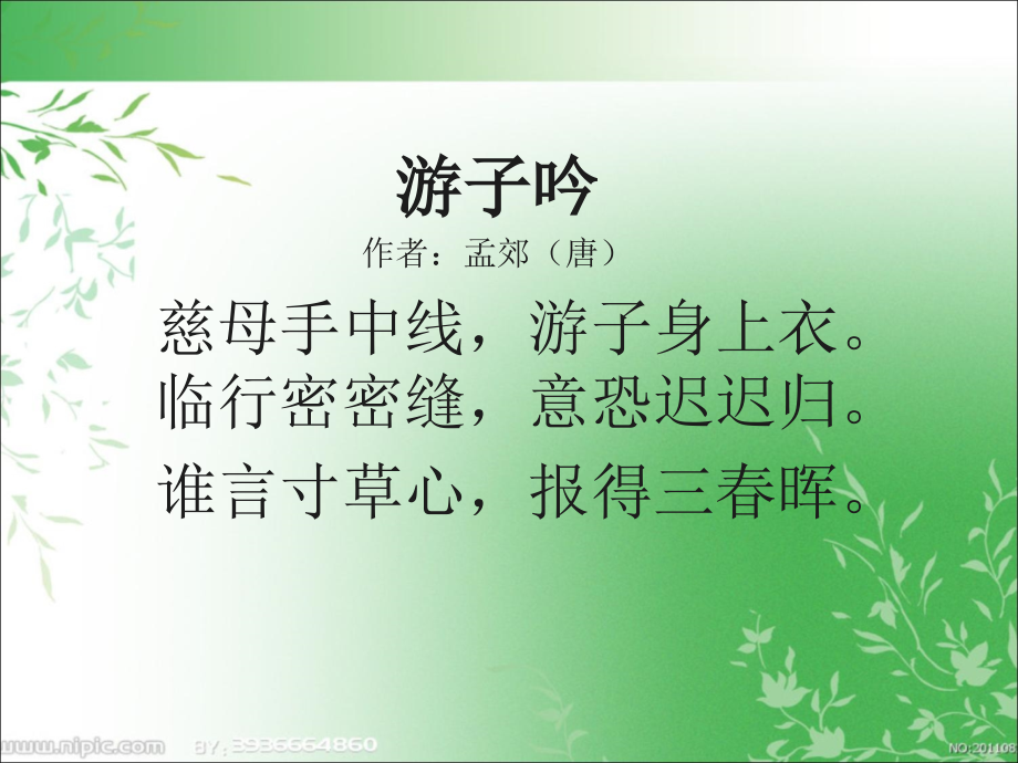 《慈母情深》.ppt.ppt_第1页
