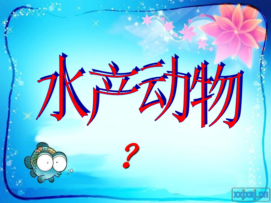 水产动物1.ppt_第1页