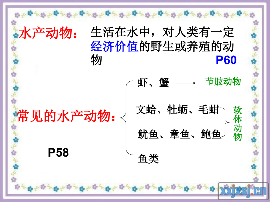 水产动物1.ppt_第2页