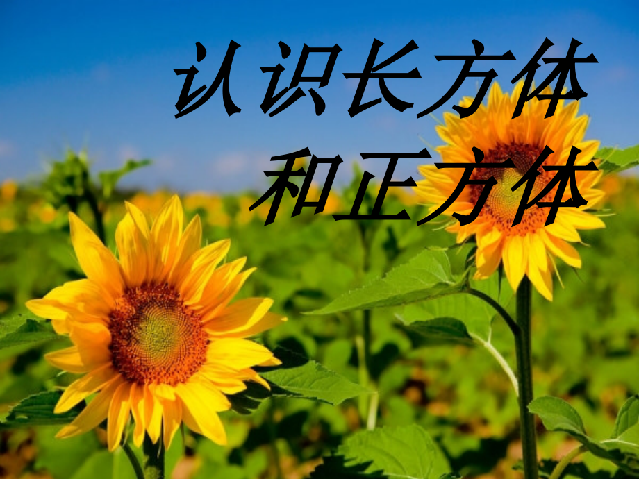 认识长方体和正方体.ppt_第1页