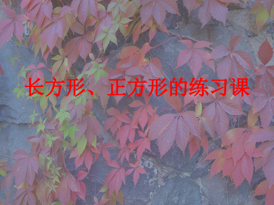 长方形、正方形周长的练习课.ppt_第1页