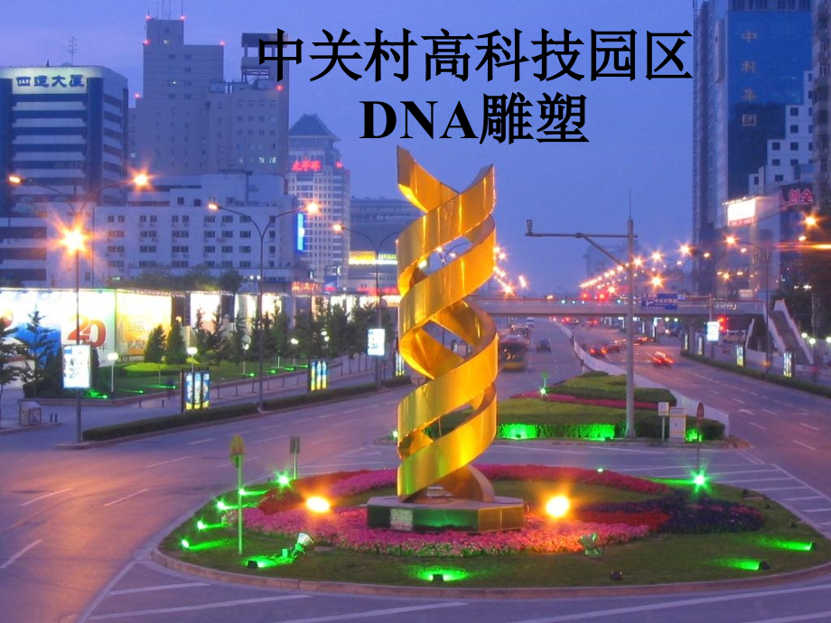 第3章第2节：DNA分子的结构.ppt_第2页