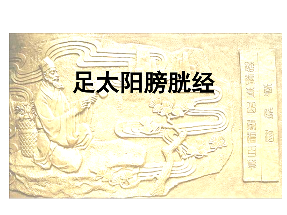 针灸第11次课：足太阳膀胱经课件.ppt_第1页