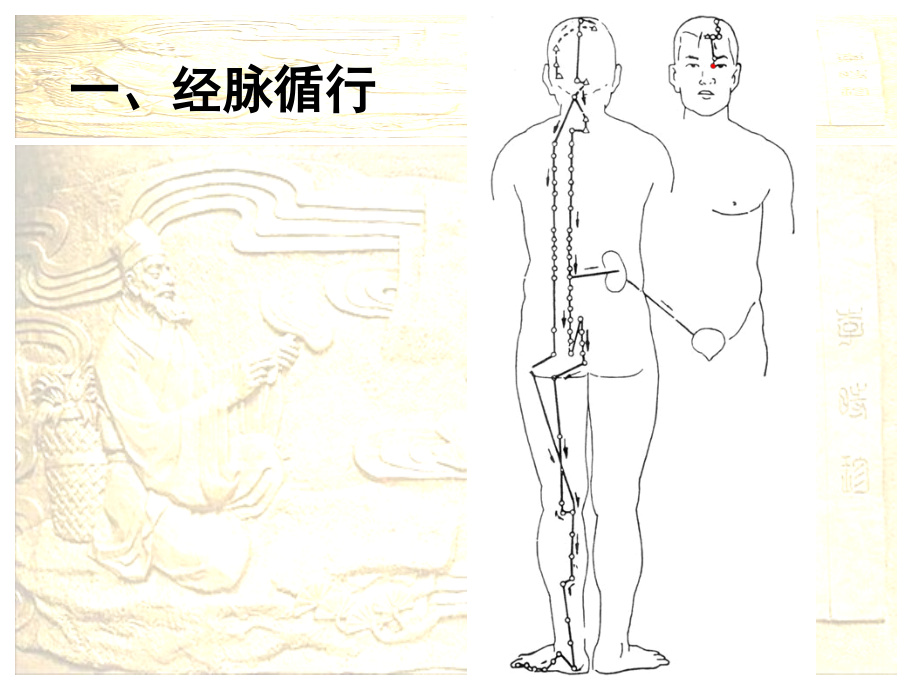 针灸第11次课：足太阳膀胱经课件.ppt_第2页