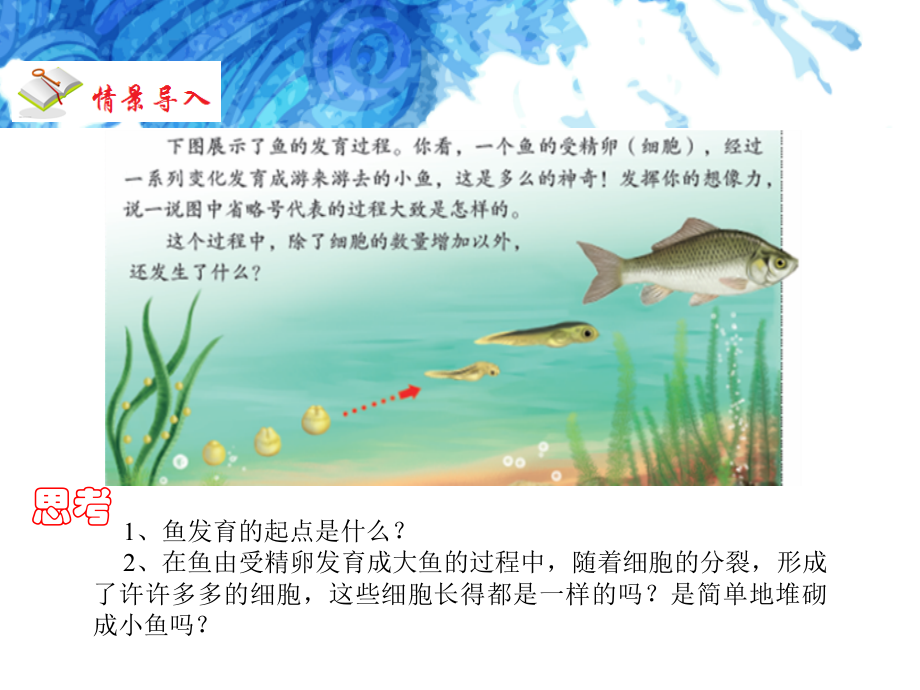 【人教版】2018学年生物七上：2.2.2《动物体的结构层次》课件(3).ppt_第2页